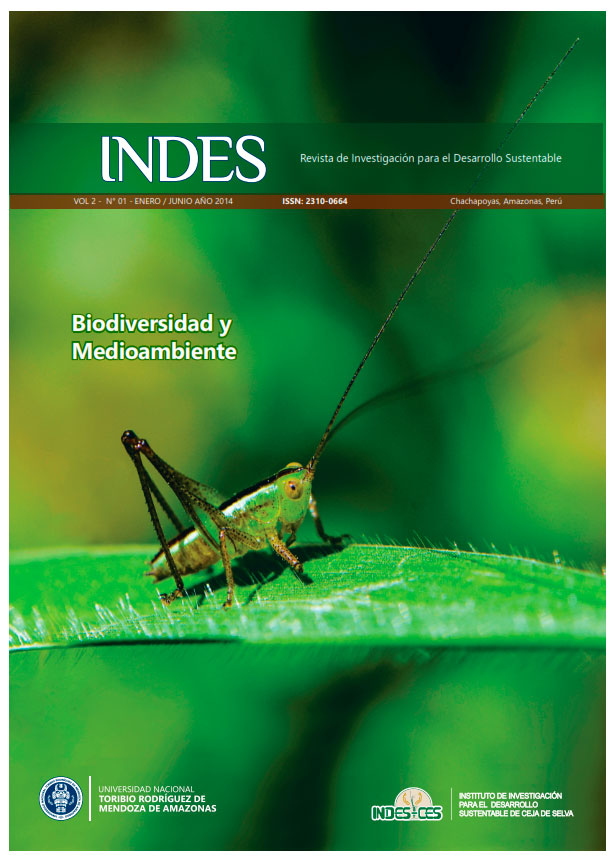 Portada-Revista-Indes---Biodiversidad-y-medioambiente 001