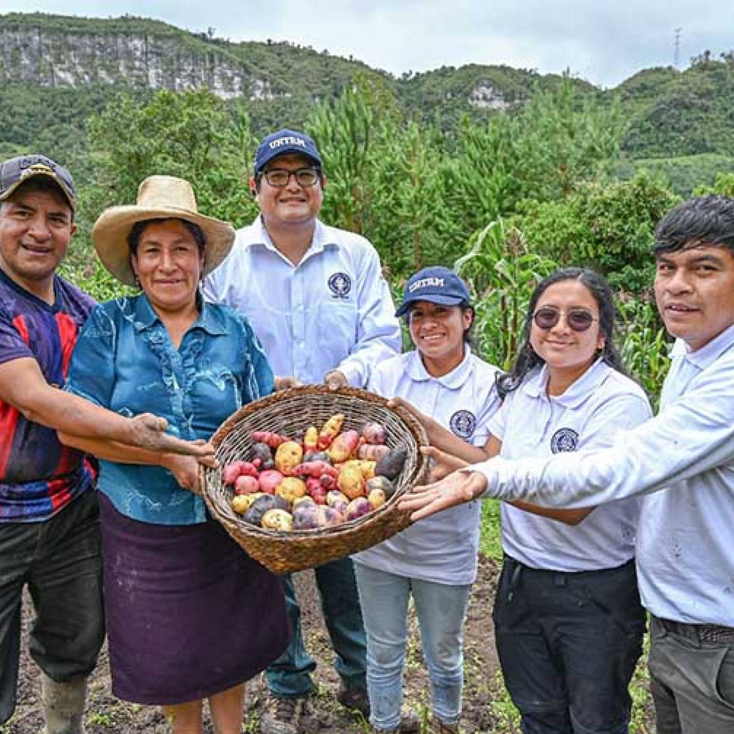 Avanzamos en el conocimiento y mejora genética de la papa nativa de Amazonas 